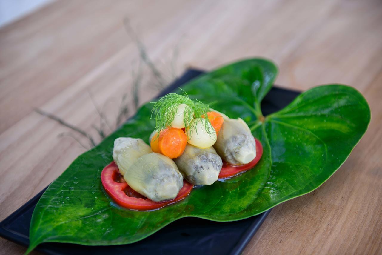 The Lifeco Antalya Well-Being Detox Center And Vegan Hotel ภายนอก รูปภาพ