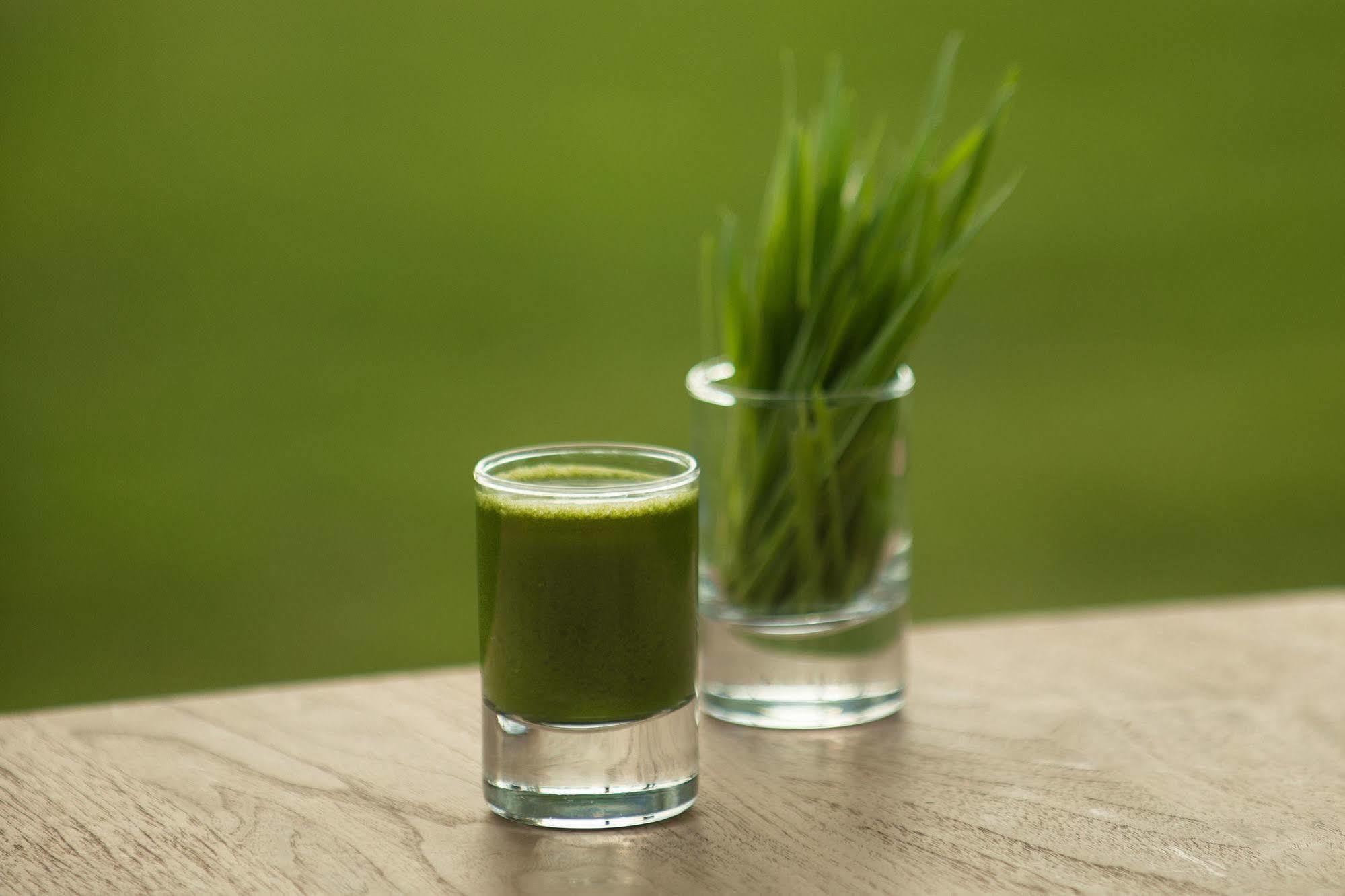 The Lifeco Antalya Well-Being Detox Center And Vegan Hotel ภายนอก รูปภาพ